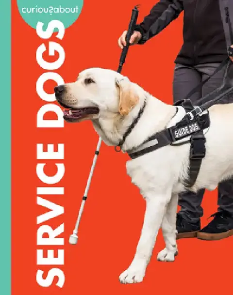 Cover of Curious about Service Dogs