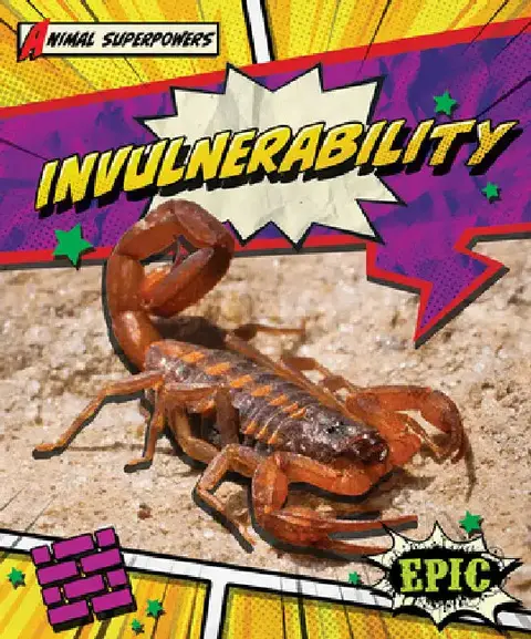 Cover of Invulnerability