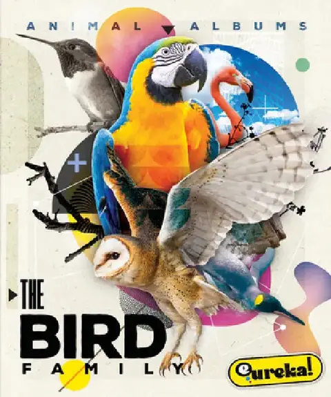 Cover of The Bird Family