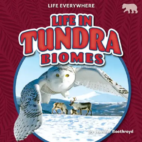Cover of Life in Tundra Biomes