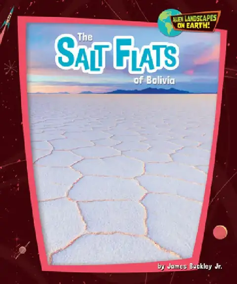 Cover of The Salt Flats of Bolivia