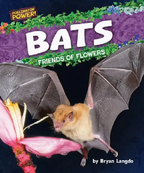 Cover of Bats