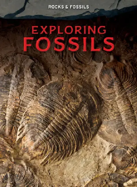 Cover of Exploring Fossils