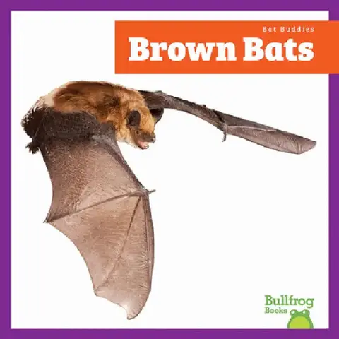 Cover of Brown Bats