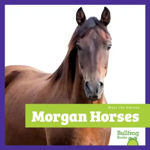 Cover of Morgan Horses
