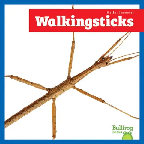 Cover of Walkingsticks