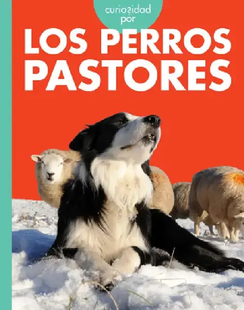 Cover of Curiosidad Por Los Perros Pastores